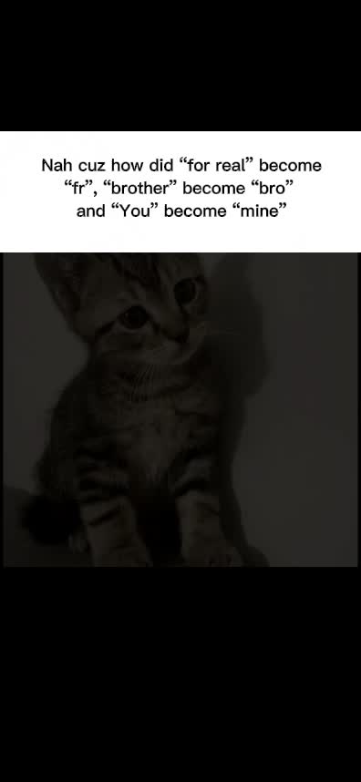 @cat army
