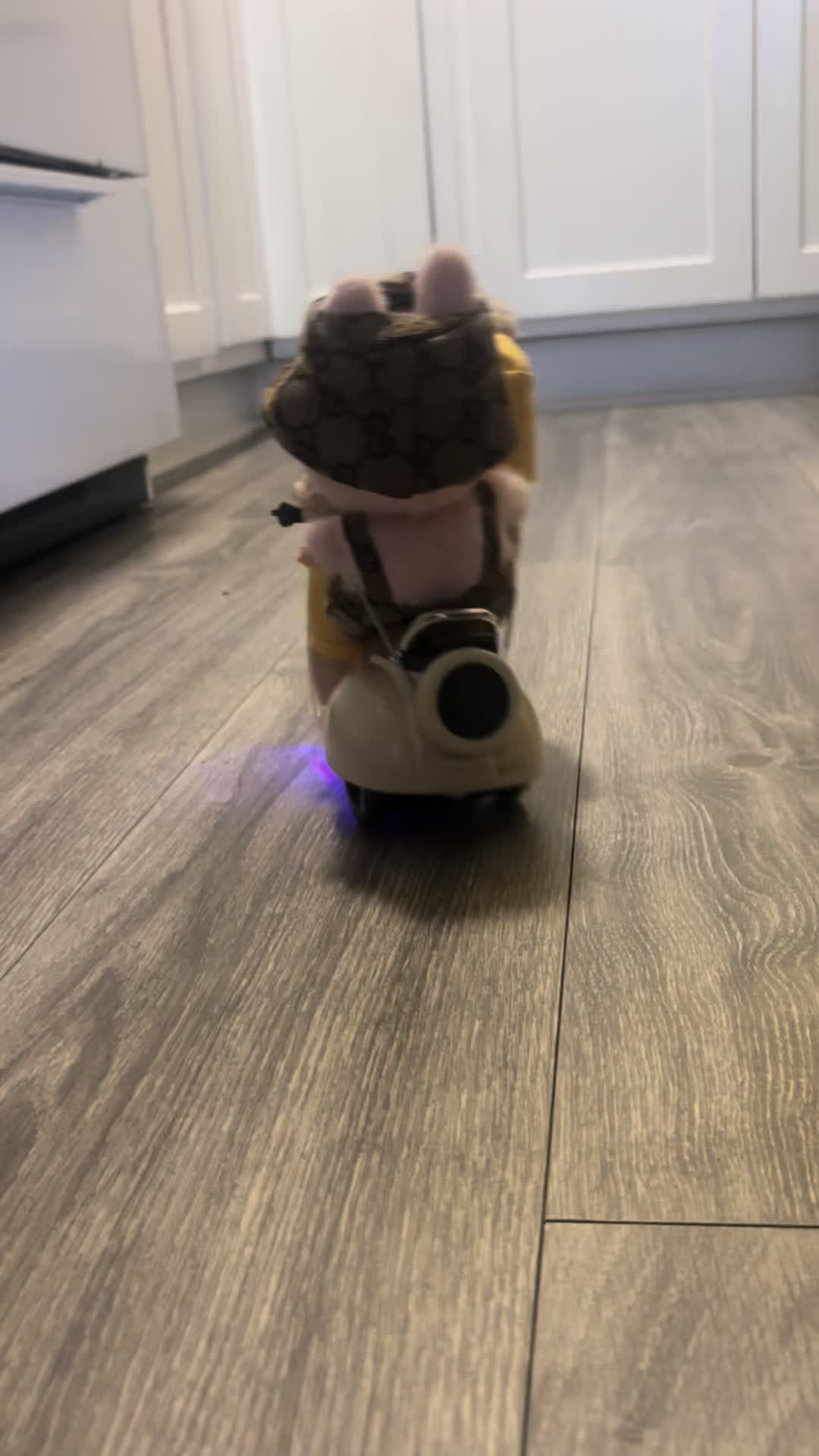 @𝓛𝓪𝓾𝓻𝓪𝓪