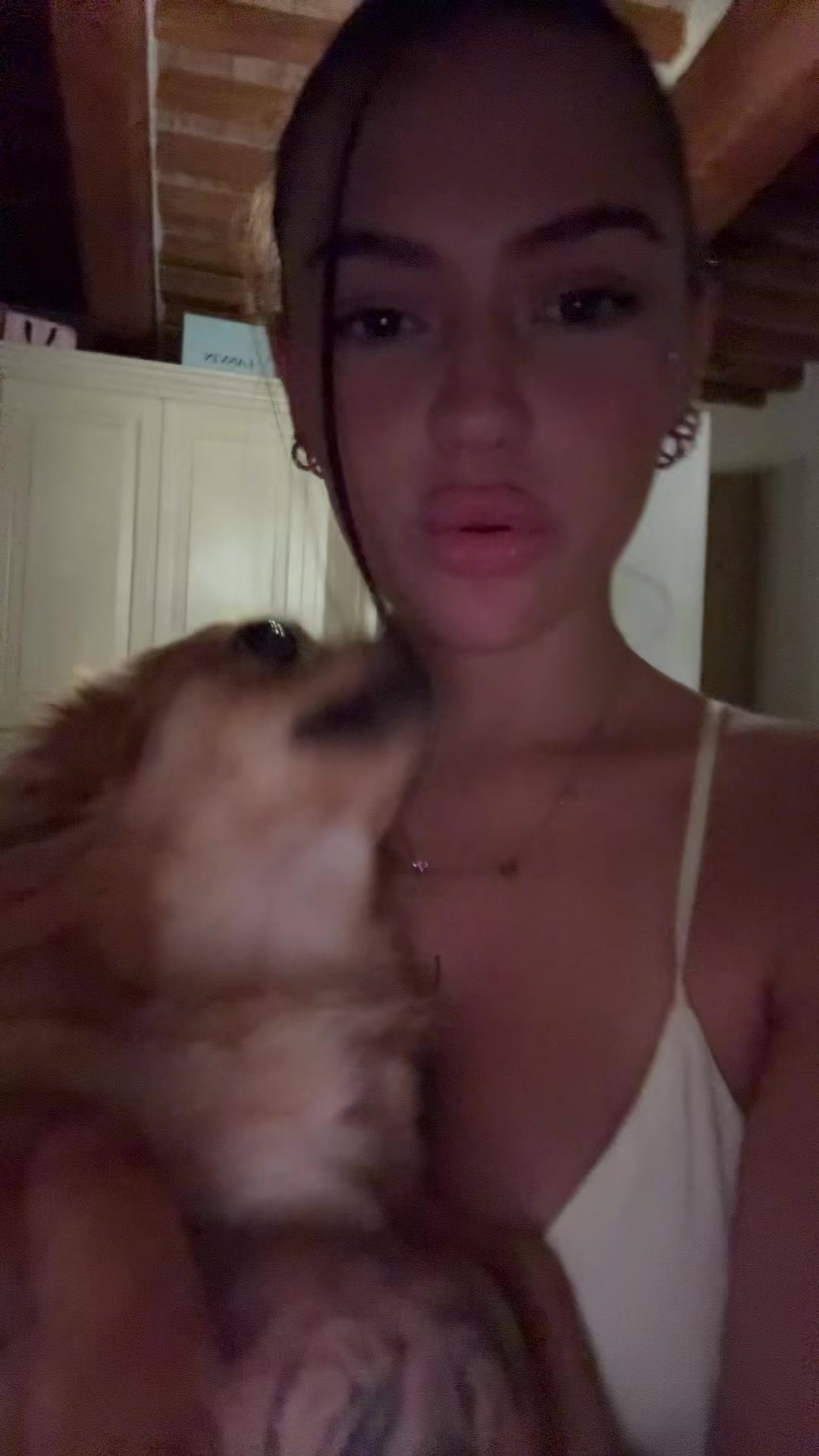 @rebeccamalacarneee