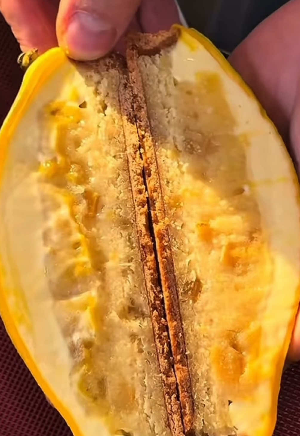 @Artsucré