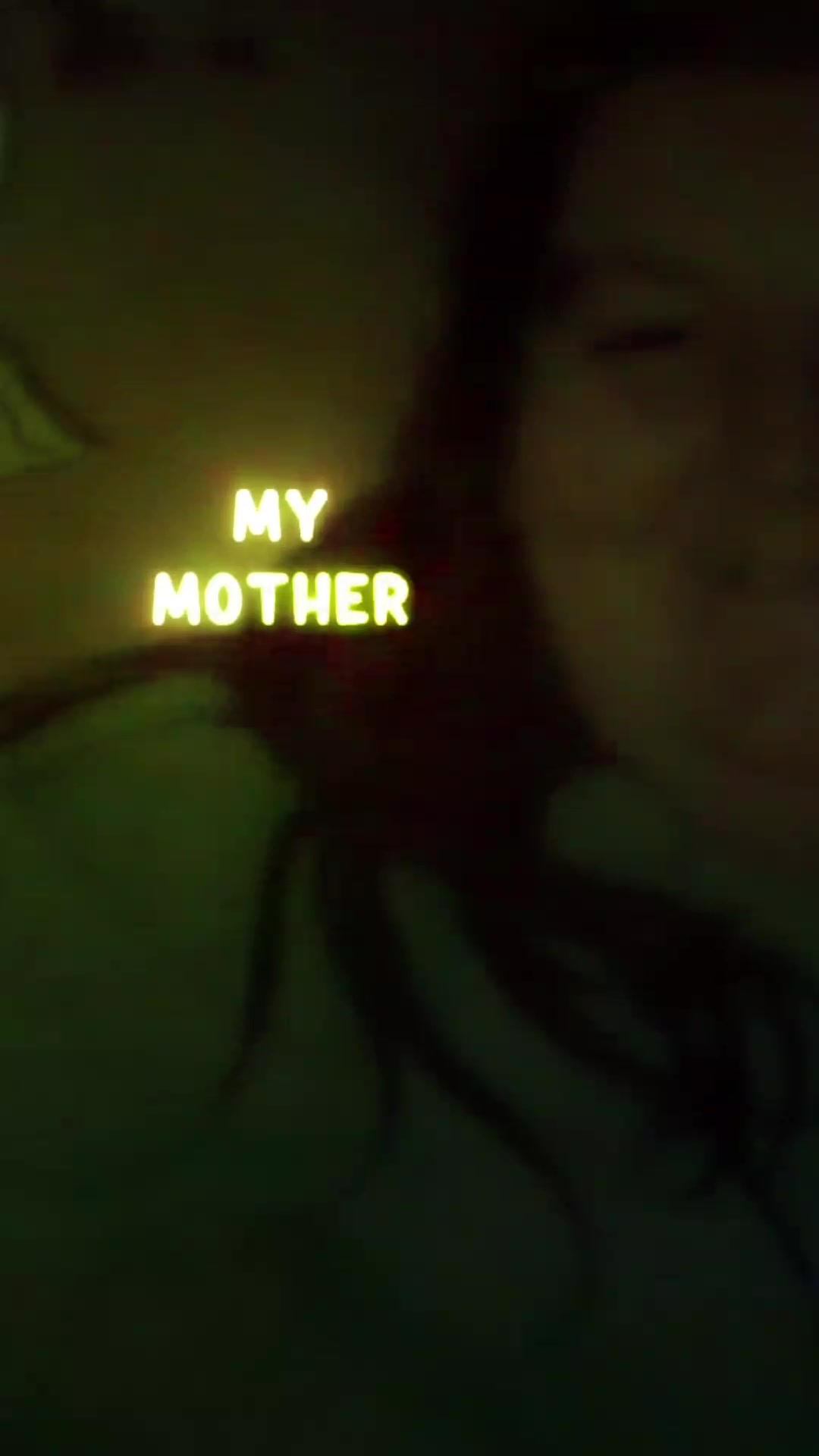 @lady carly murphy