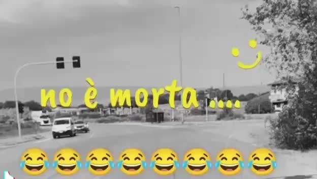@Francafusaro05