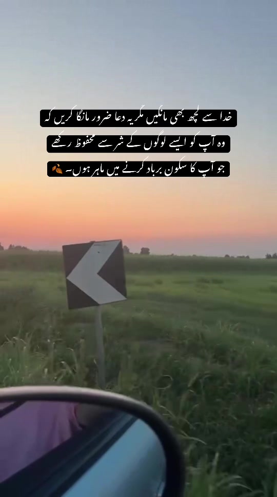 @Ayesha Jillani