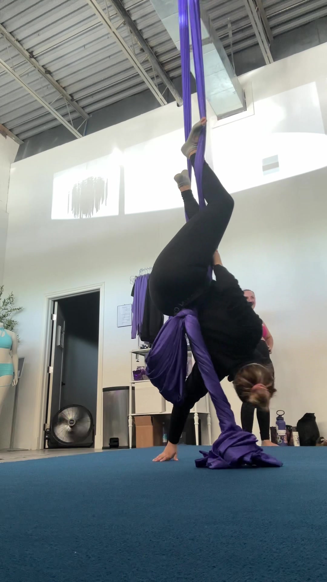 @daisyduarte