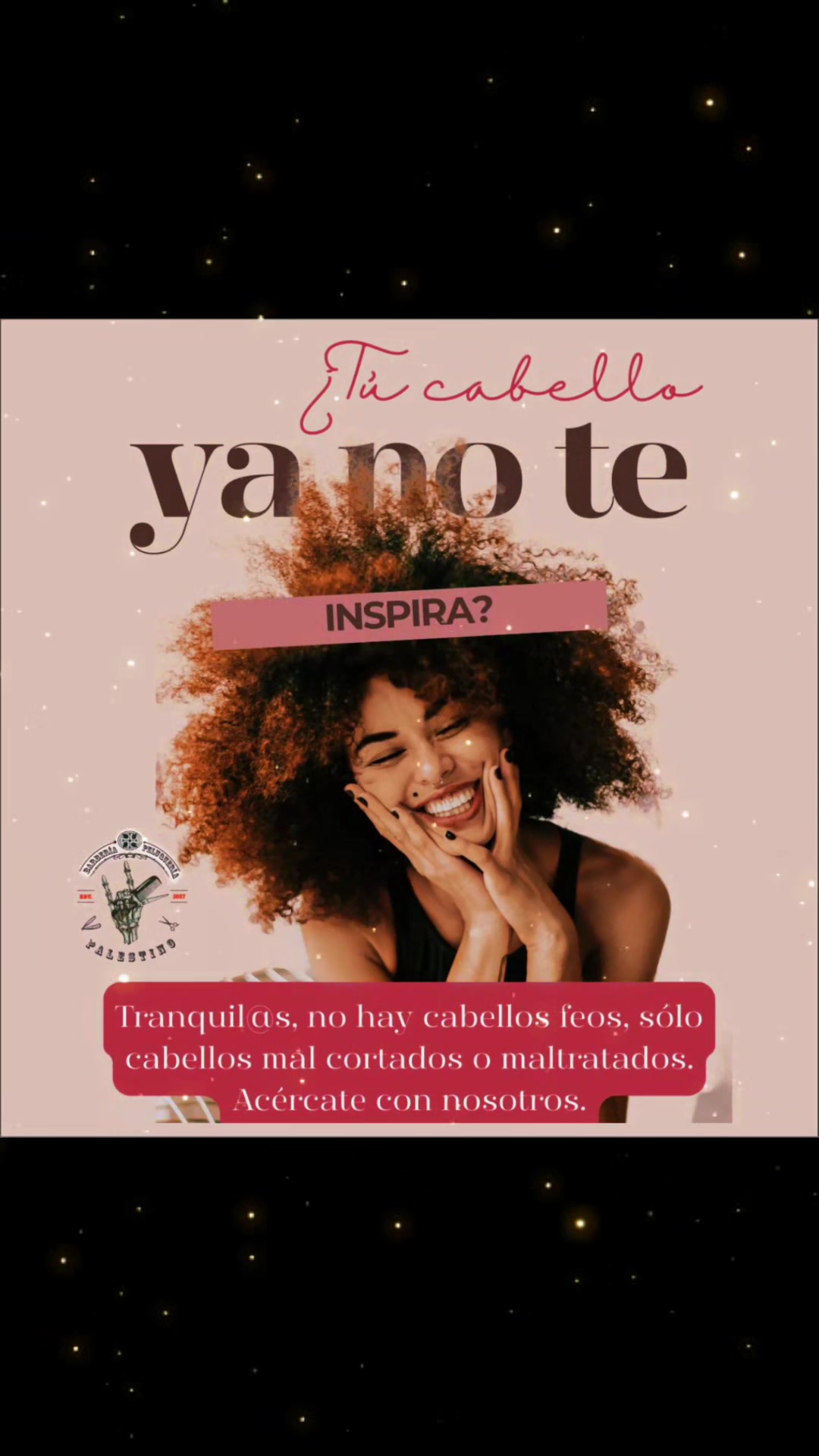 @sandrapalestino8
