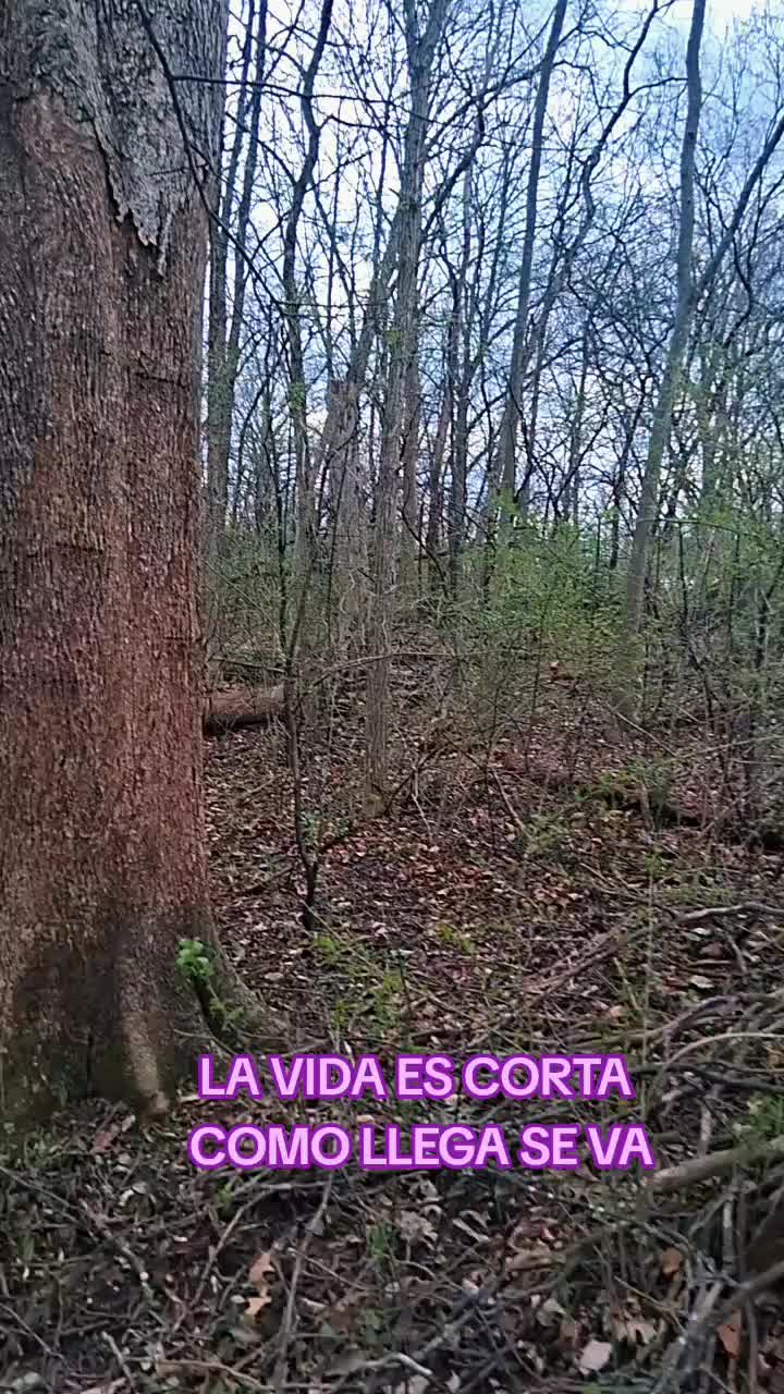 @Elena Caballero115