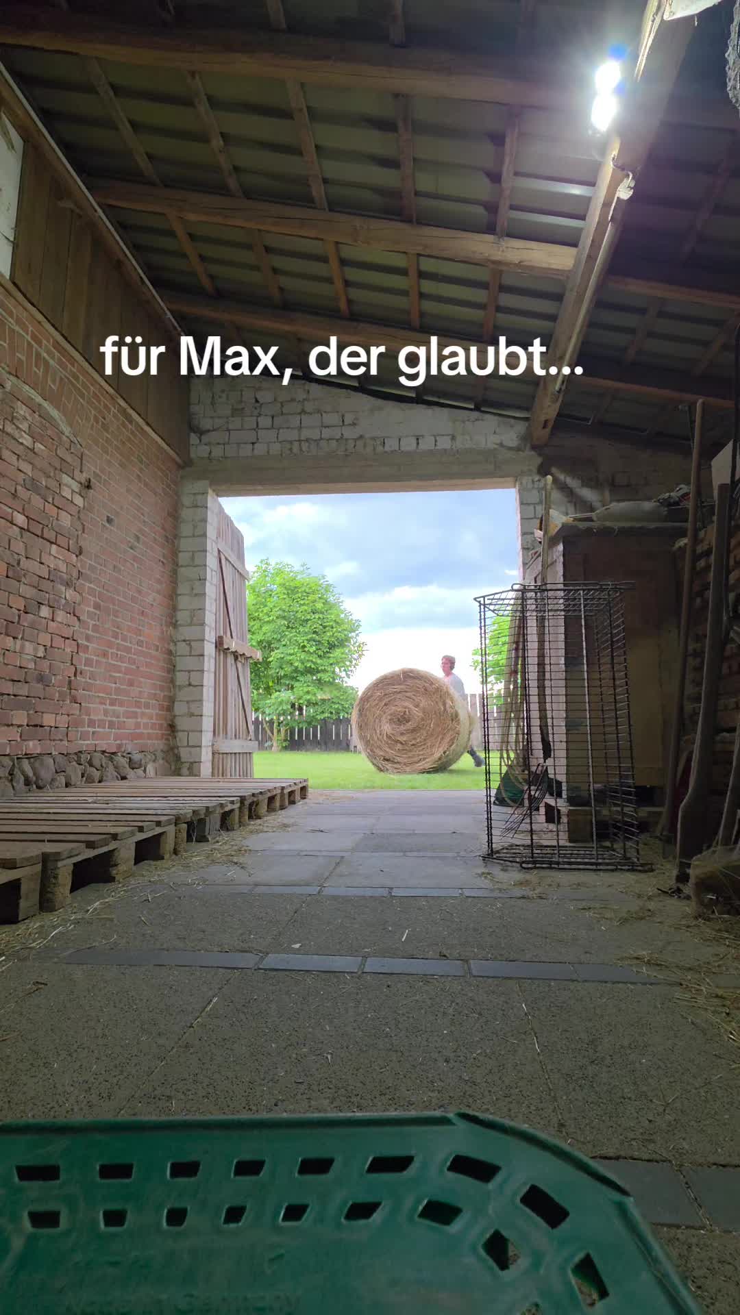 @die_van_fresserinchens