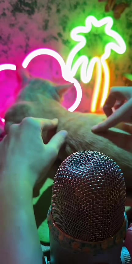 @Mirella ASMR