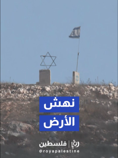 @Royapalestine رؤيا فلسطين
