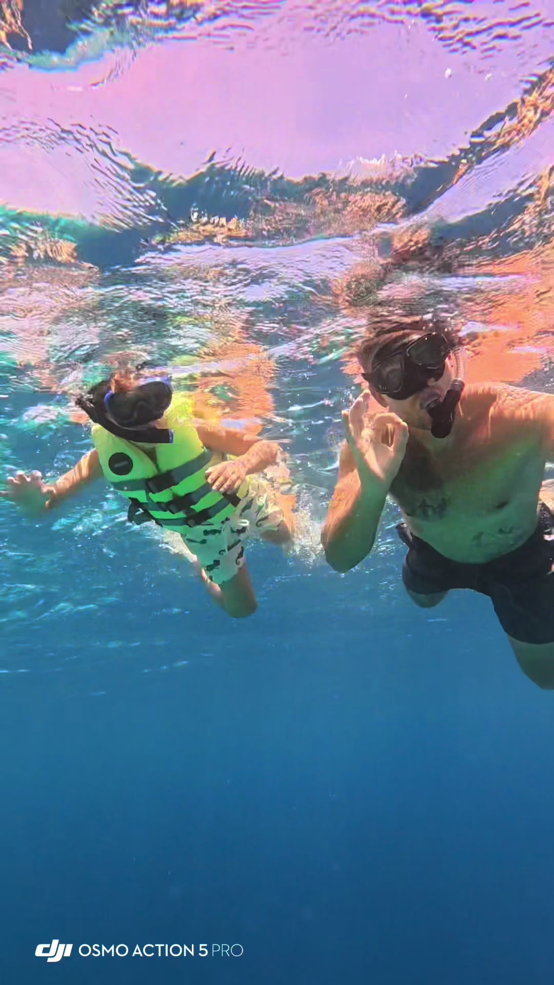 @dolphinsbonaire