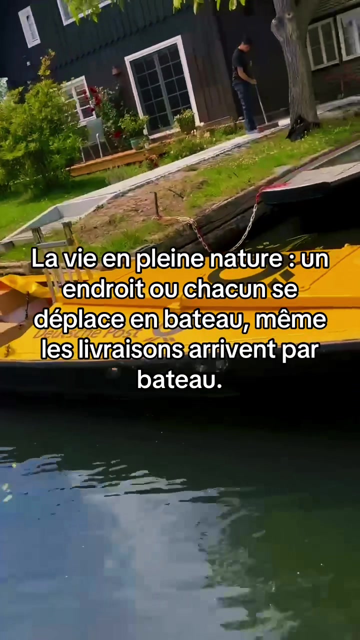 @Steve # Logique🇨🇲🇩🇪