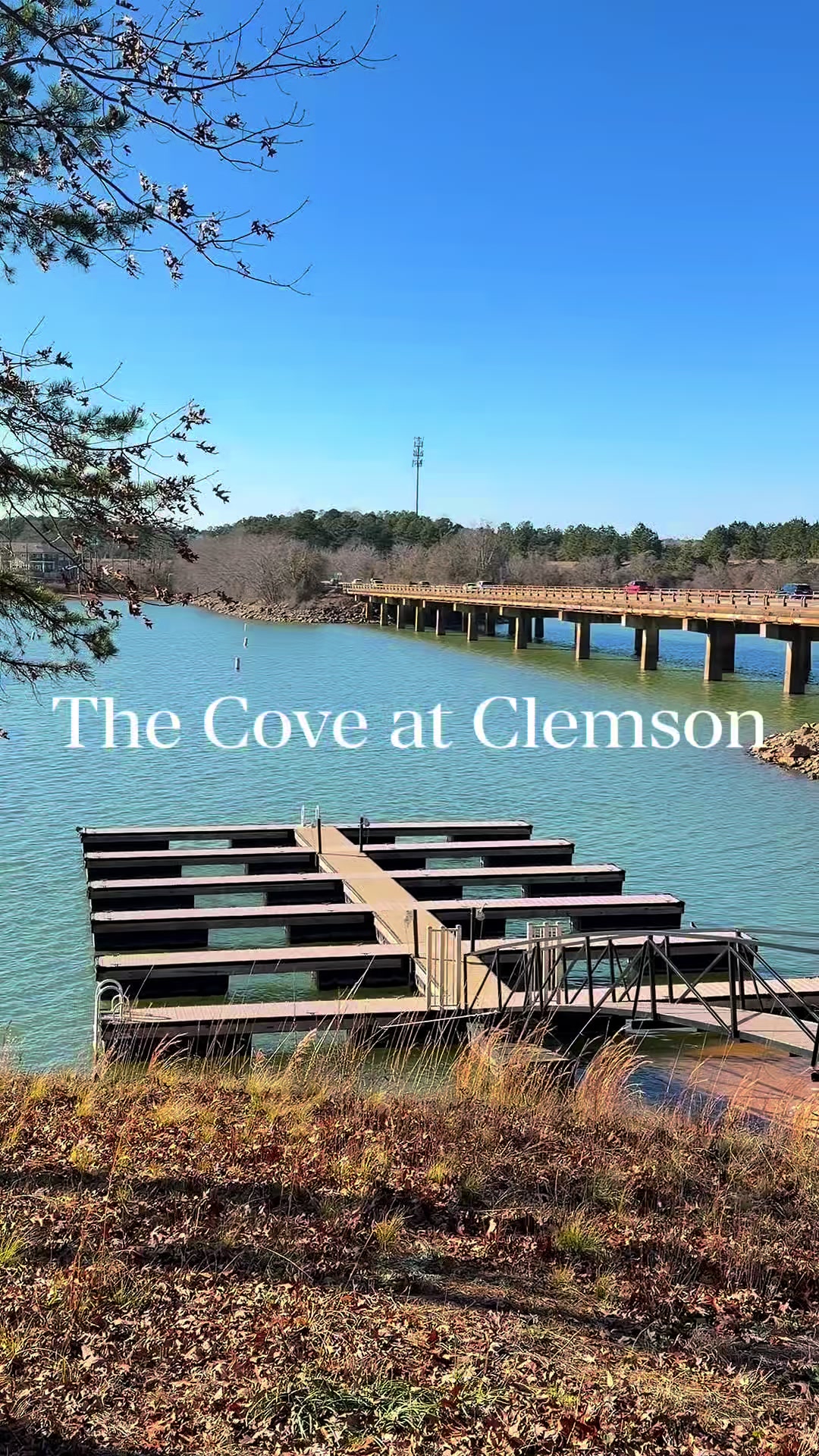 @The Cove at Clemson