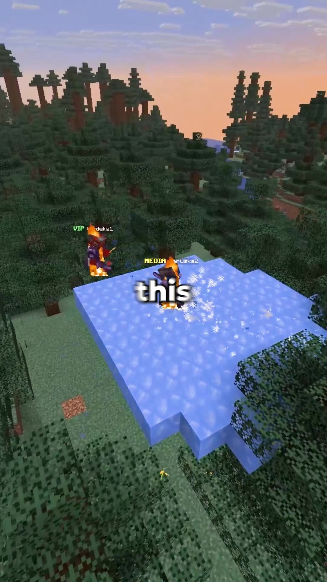 @RageMC