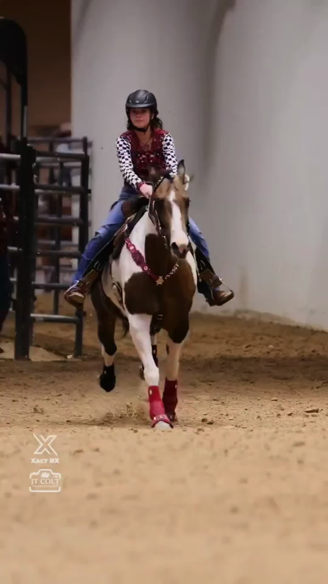 @🐎🐴picture perfect🐴🐎
