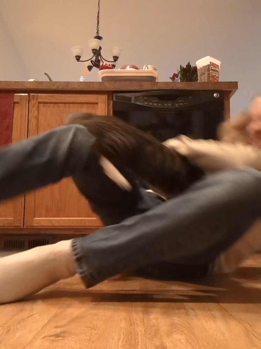 @Rainy the Cat