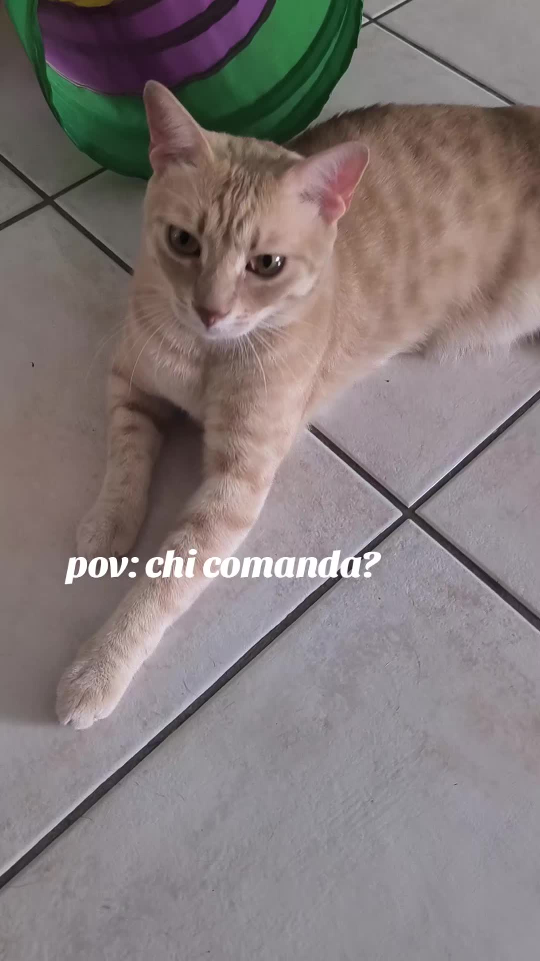 @Pina