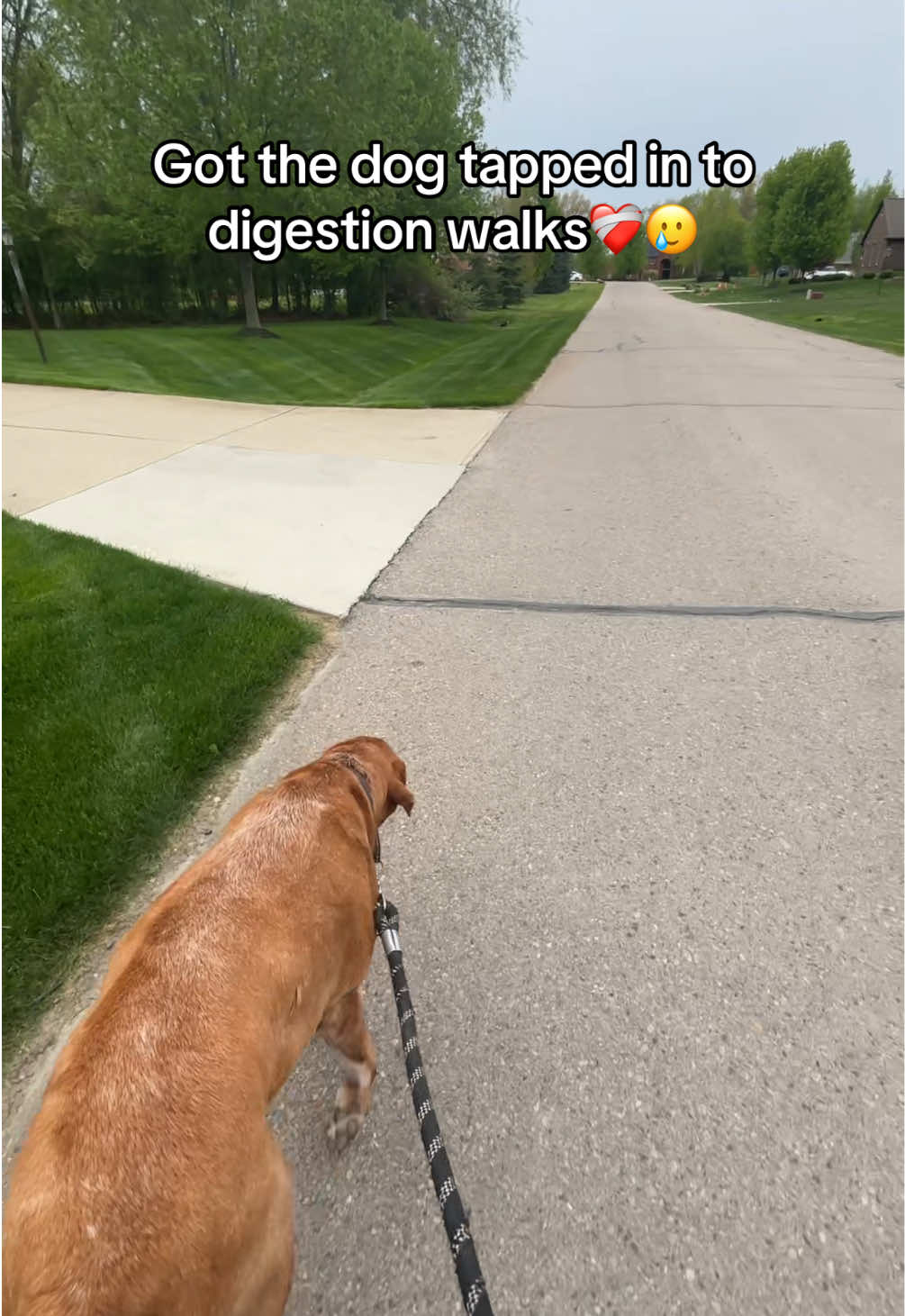 @EP