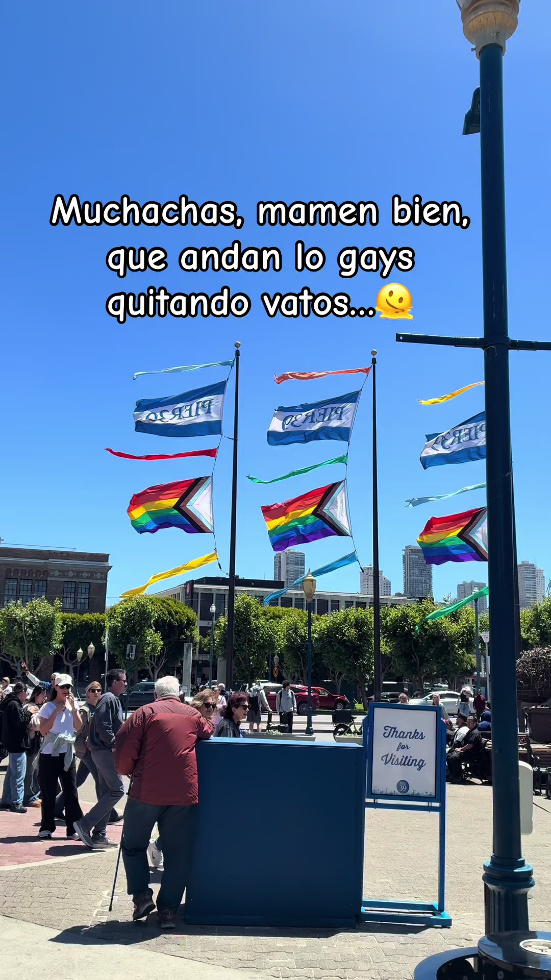 @luis.ferju