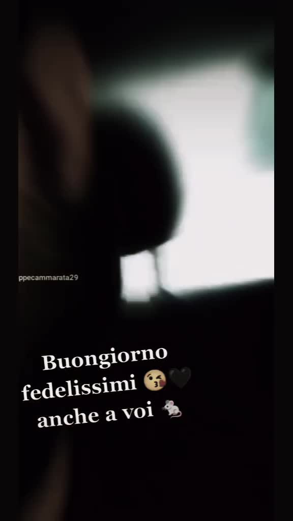 @lupo solitario 2