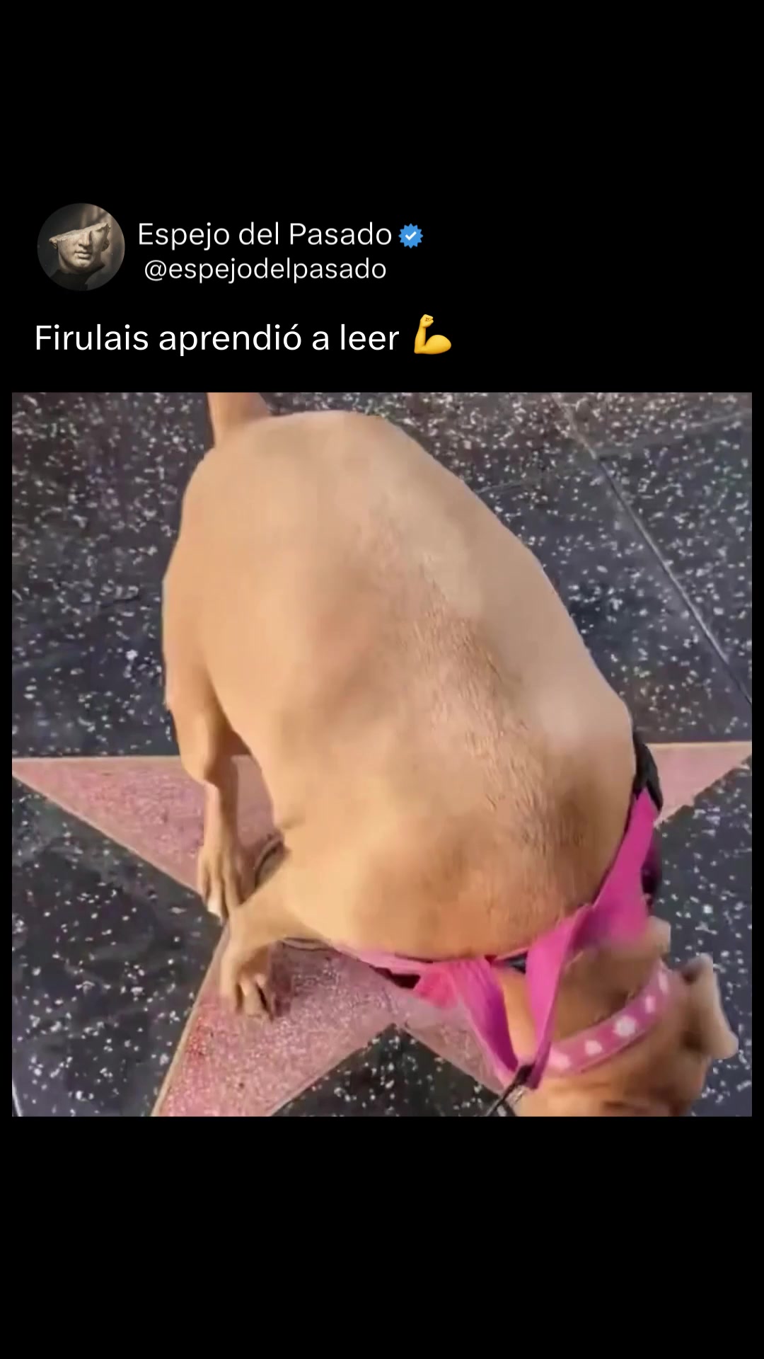 @espejodelpasado