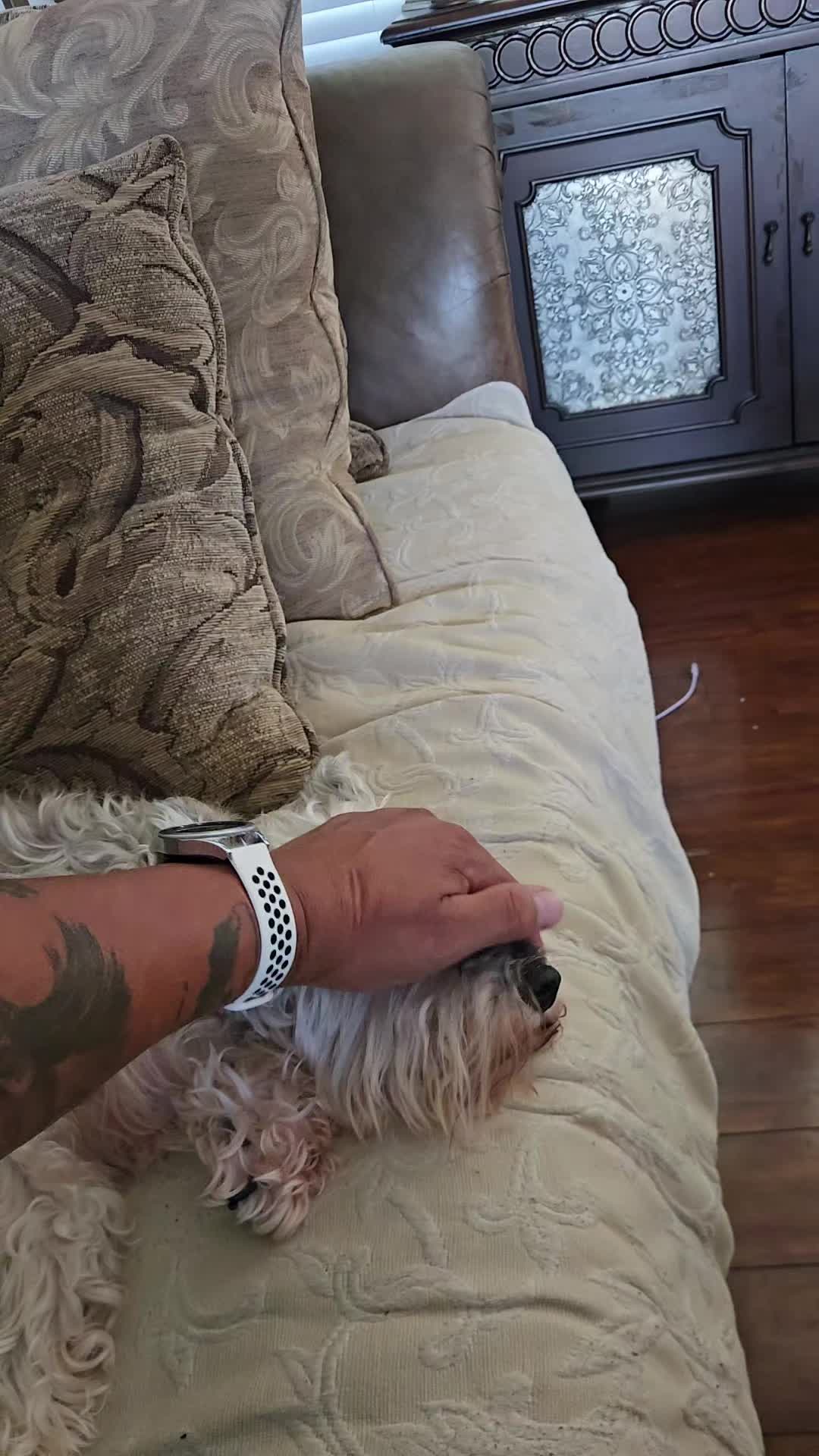 @Peluchito de florida.