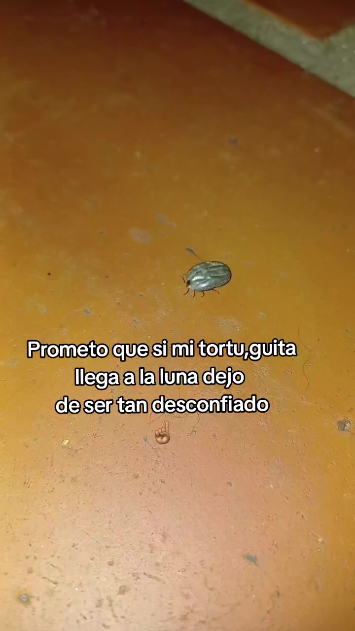 @Teteconpan🍼