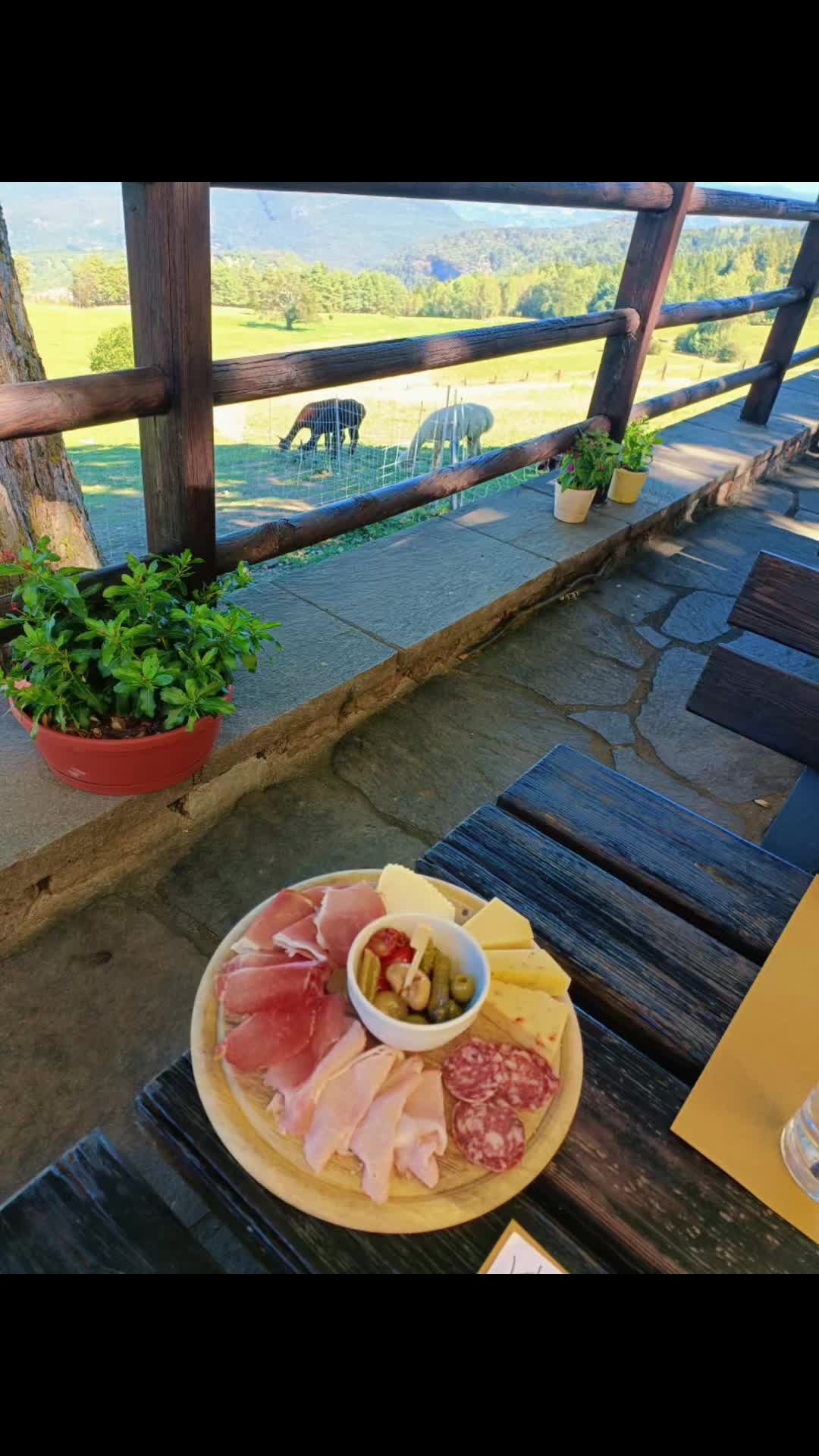 @PasqualeArmillotta