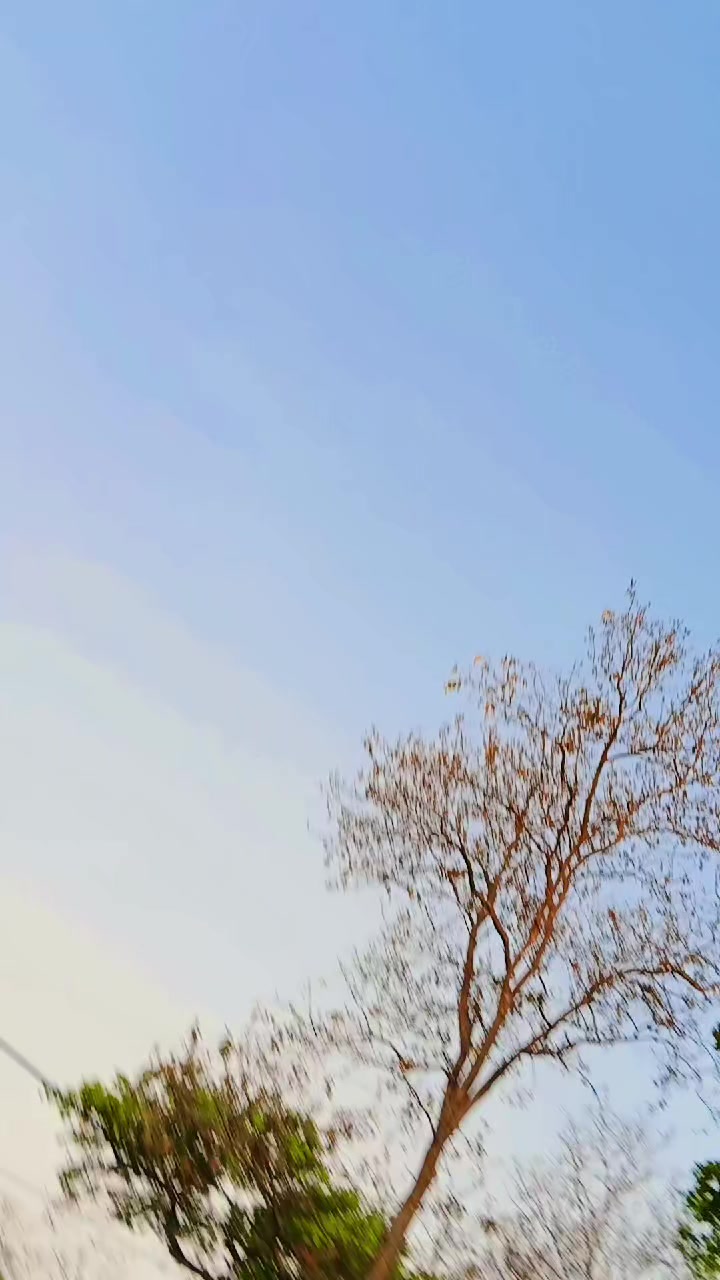@jesu patel 🥀🌿&hearts;️💕💐🍁🍂🦜🦋