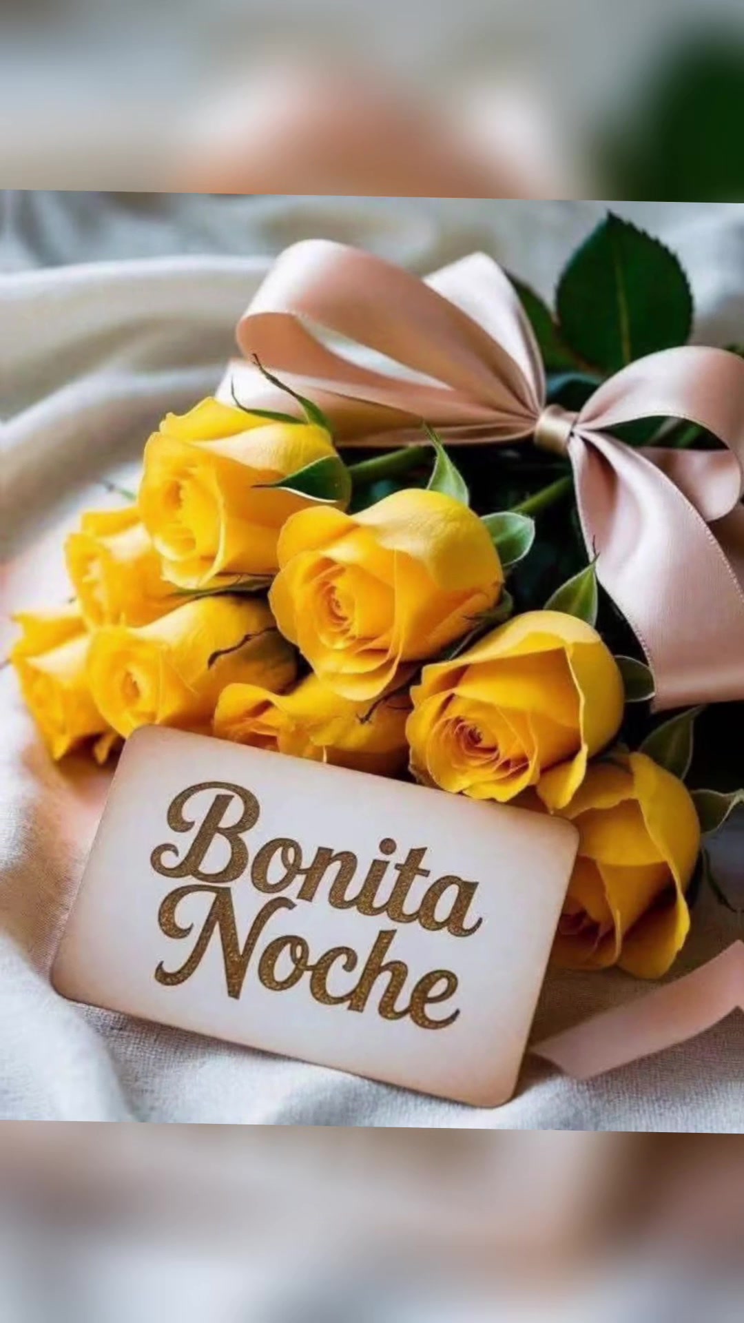 @elvirasvg