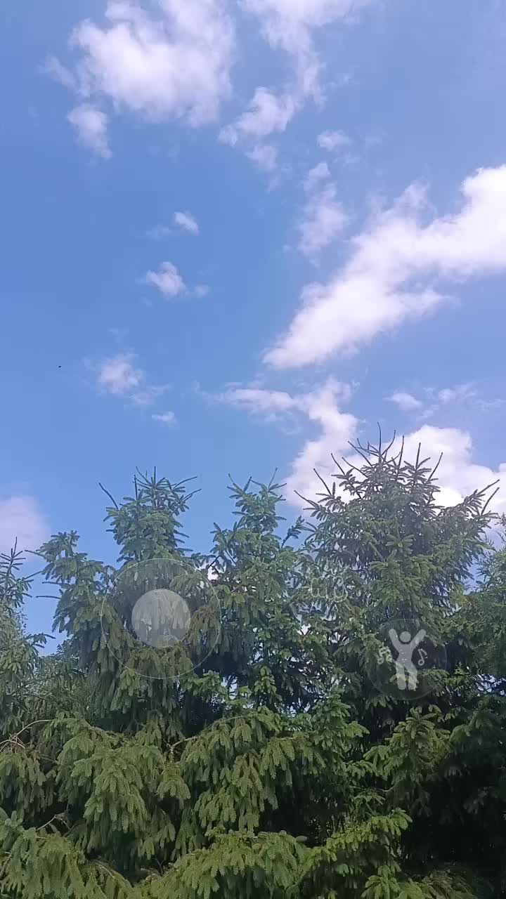 @lanaa🌸✨🫧