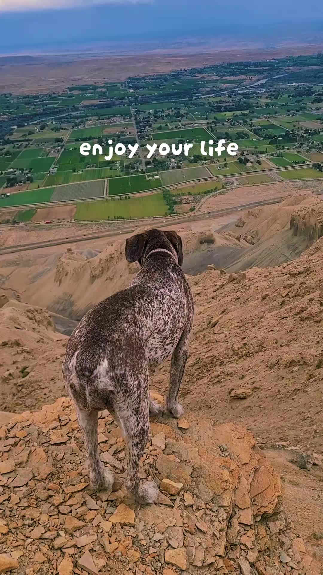 @lifeofjenn