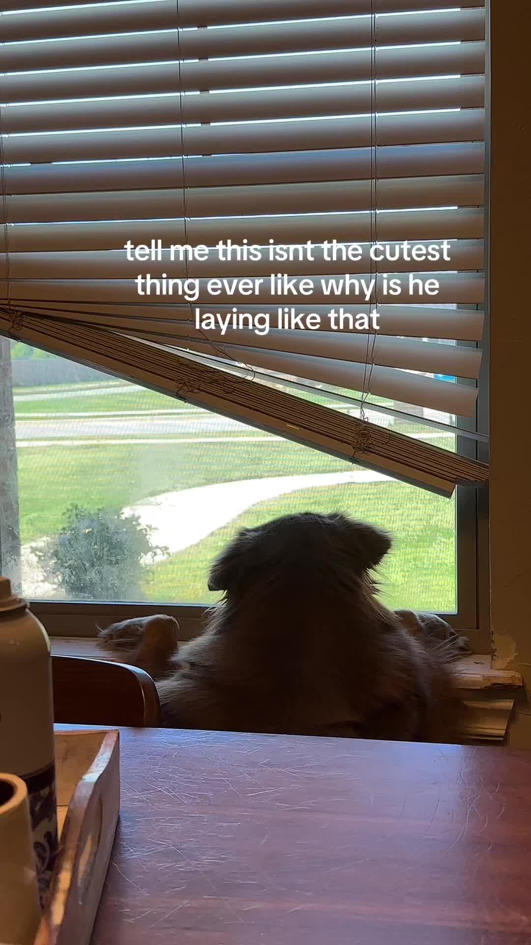 @🩻haley🐿️