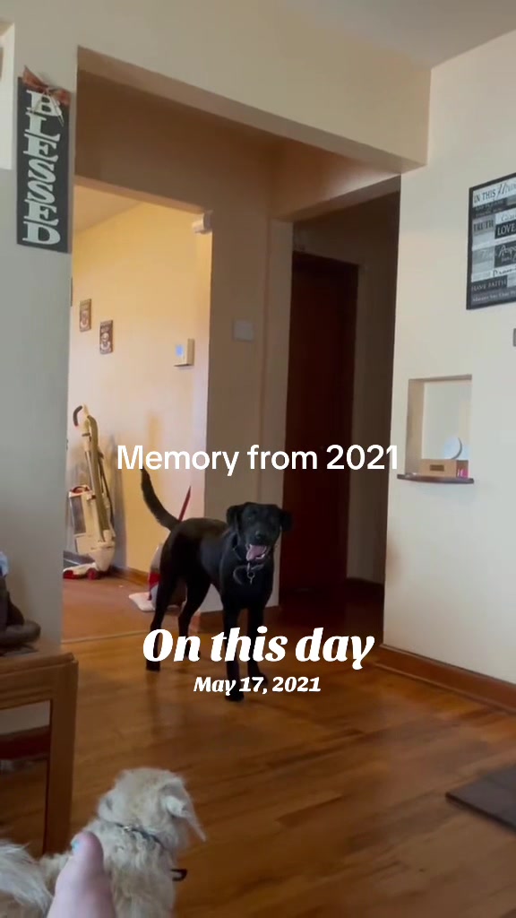@Jenn_the_pet_momma