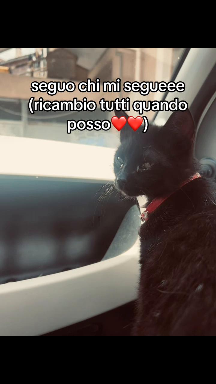 @𝓪𝓷𝓰𝓮