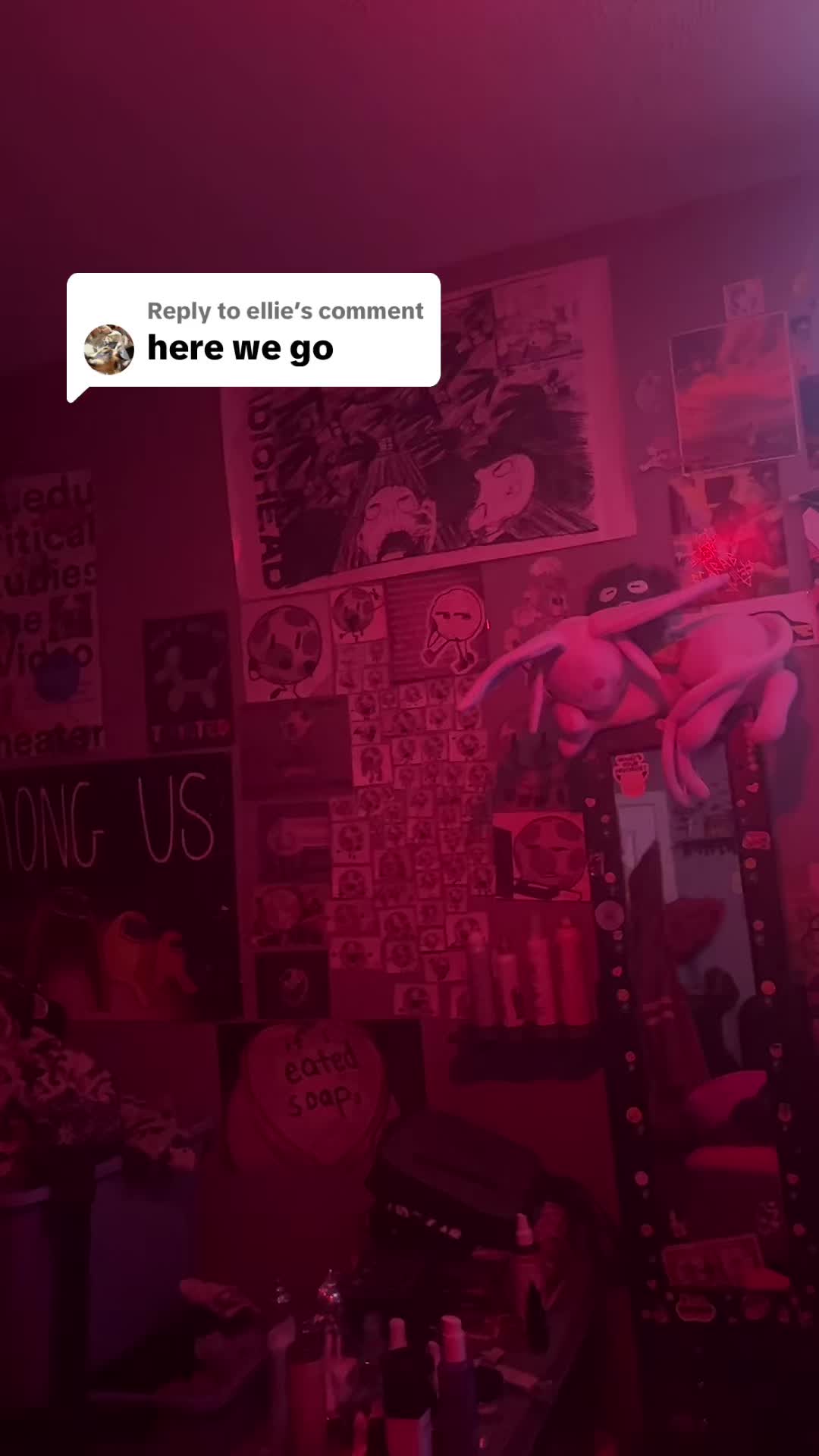@rayisoflight 🦝