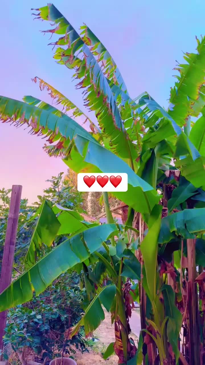 @Good girl🥰
