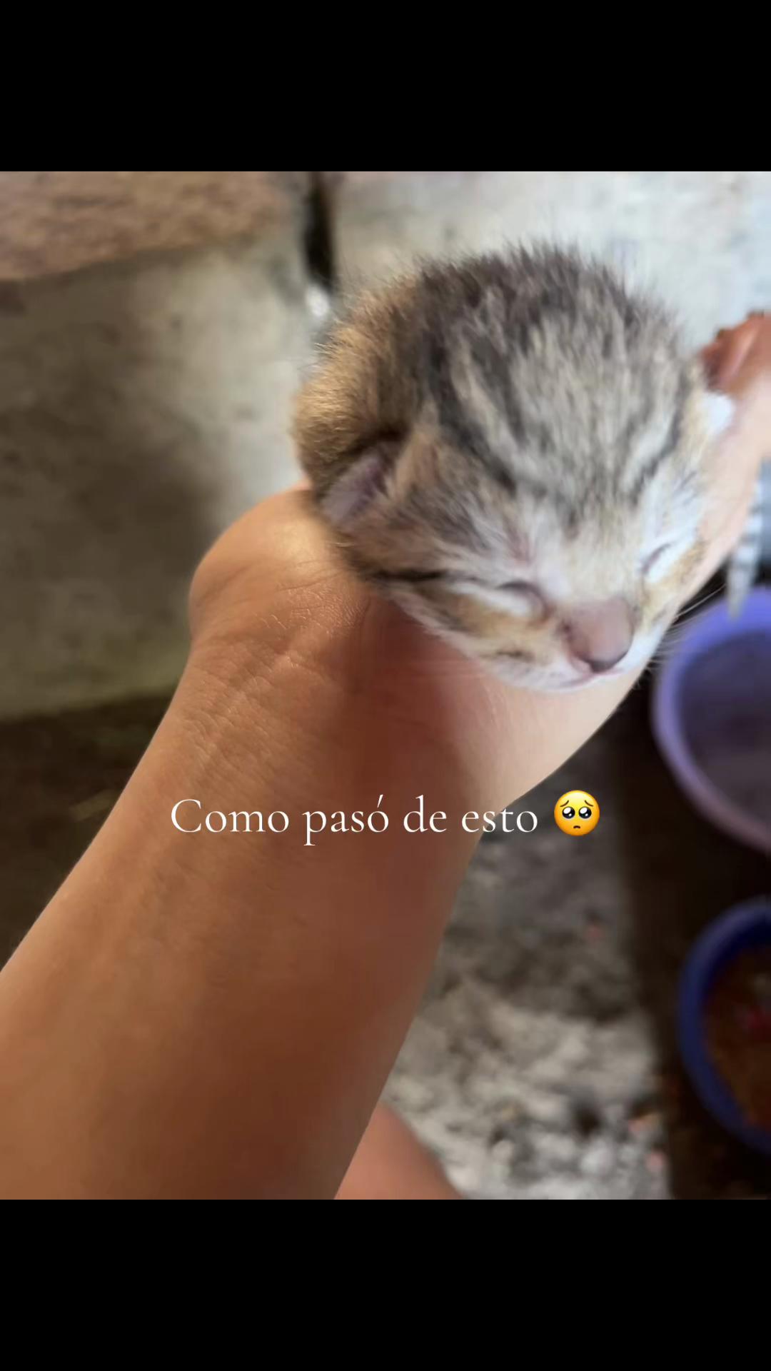 @Reynita20