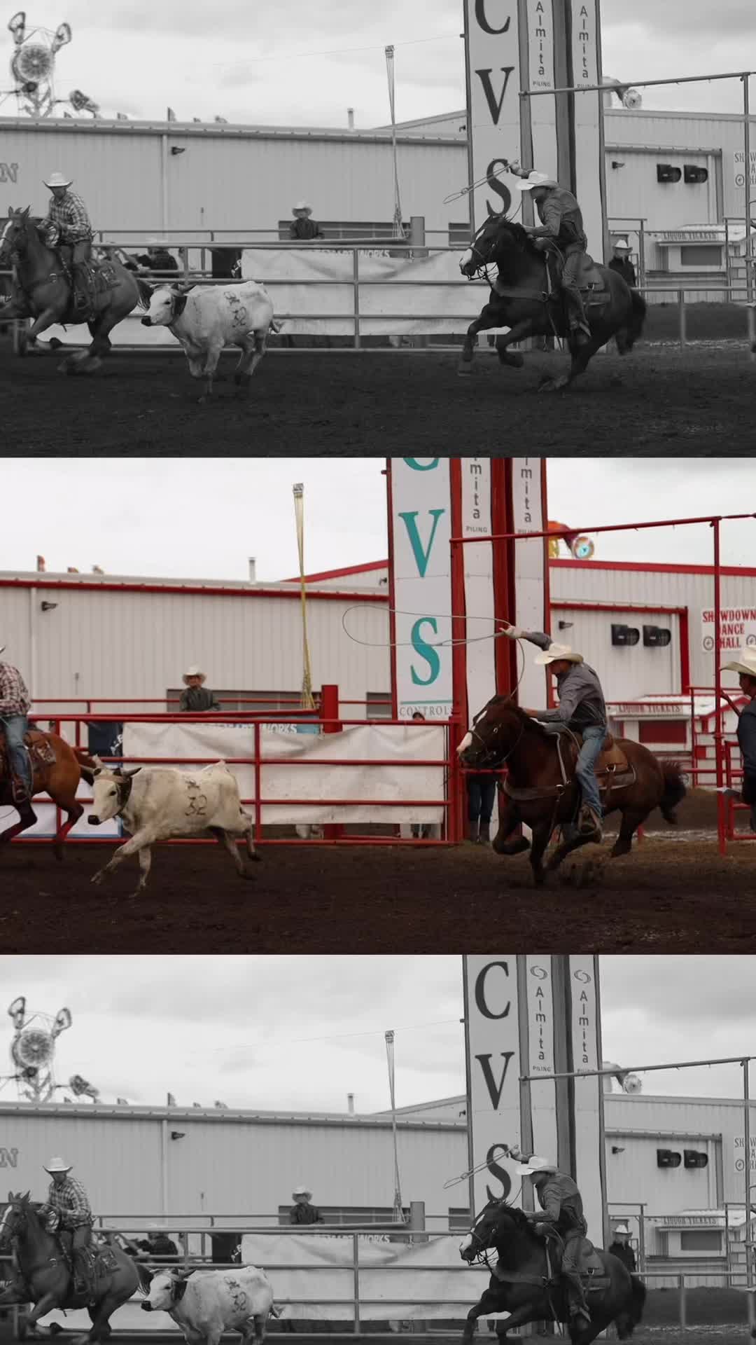 @Talk Rodeo To Me