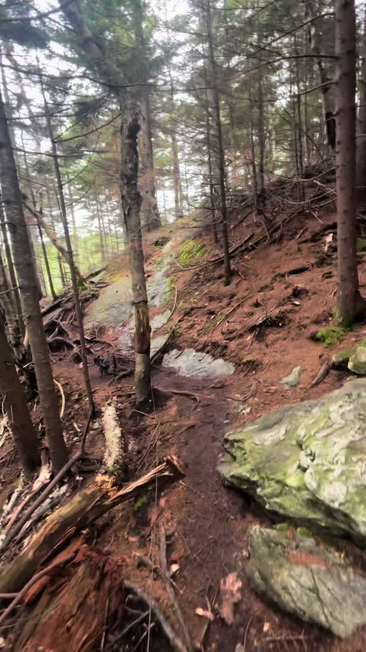 @💙The Sober Wanderer💙⛰️🥾🏕️