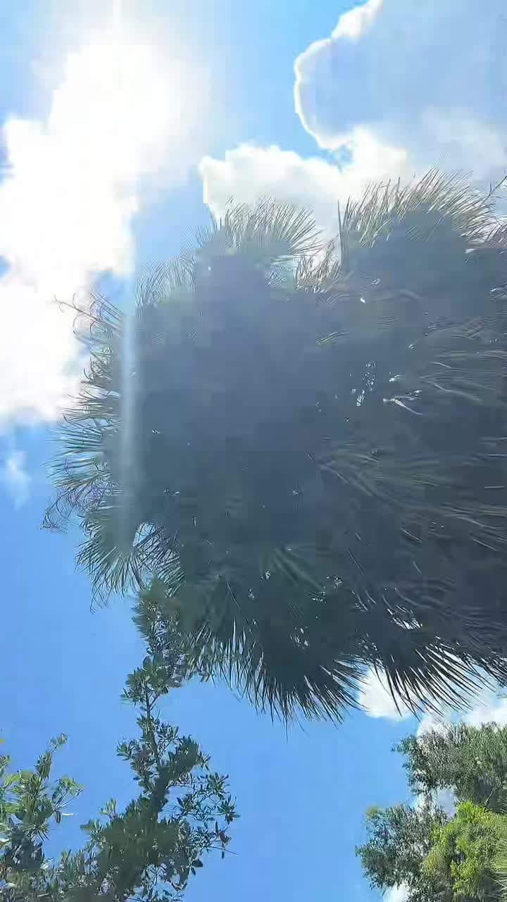 @deemel86