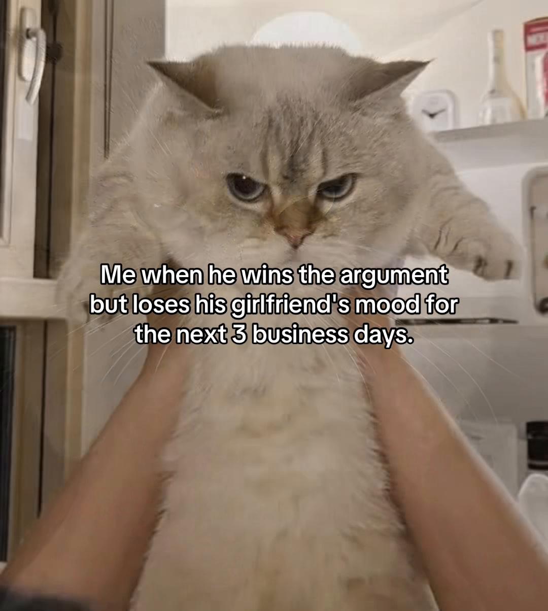 @Alice.cattok