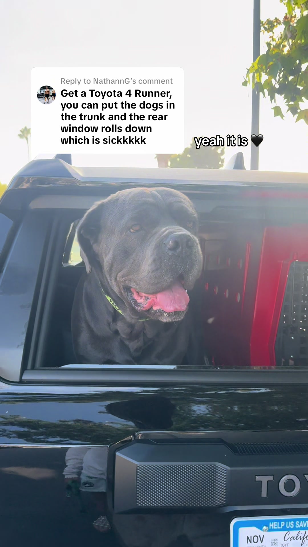 @caseybleu