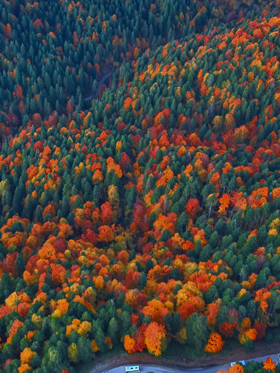 @Muhammed karakuş