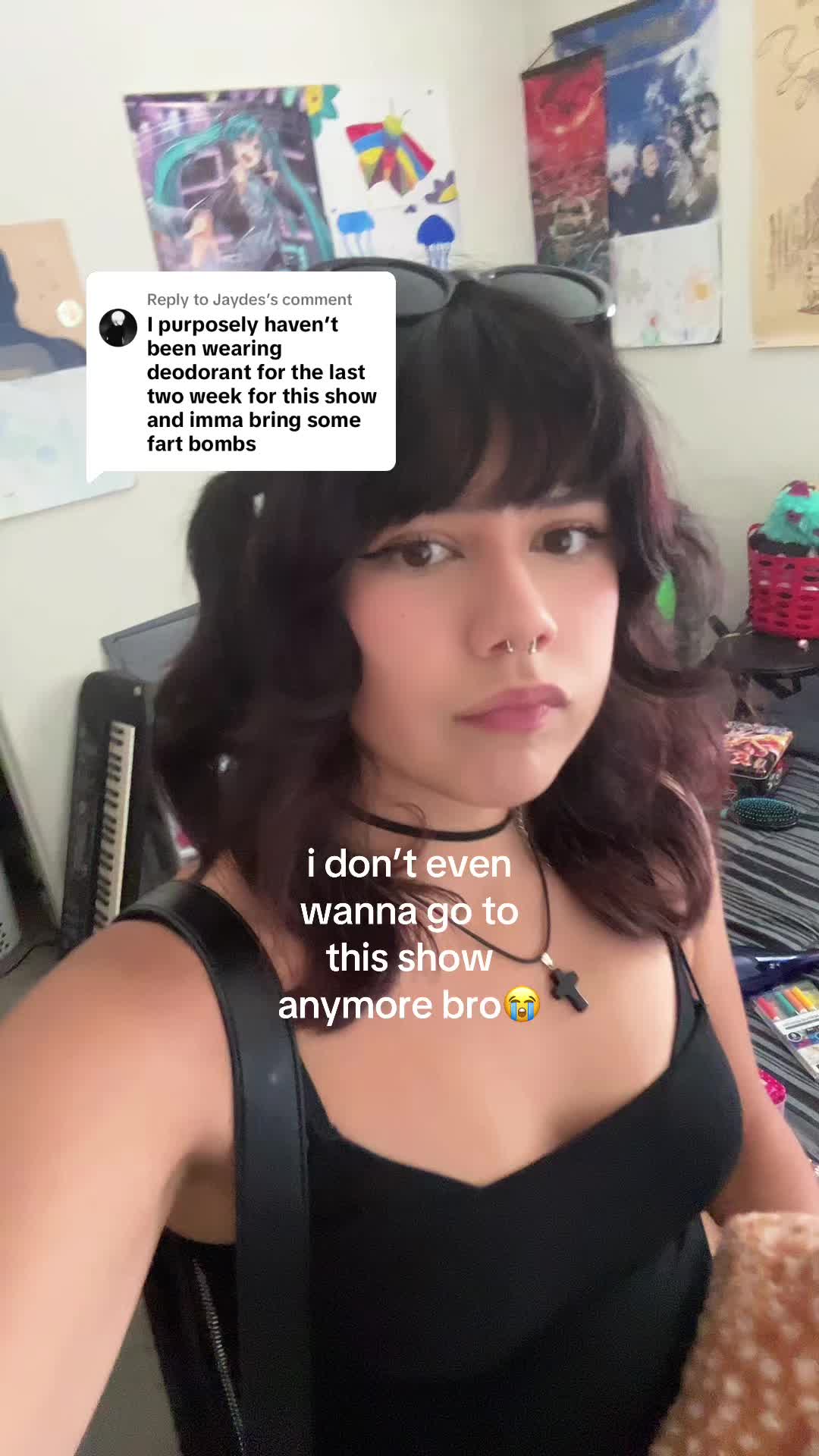@stella 🐇