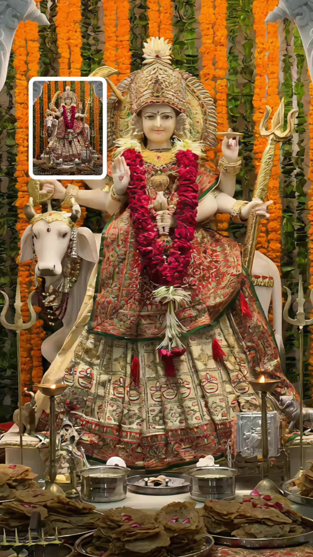 @parul Patel