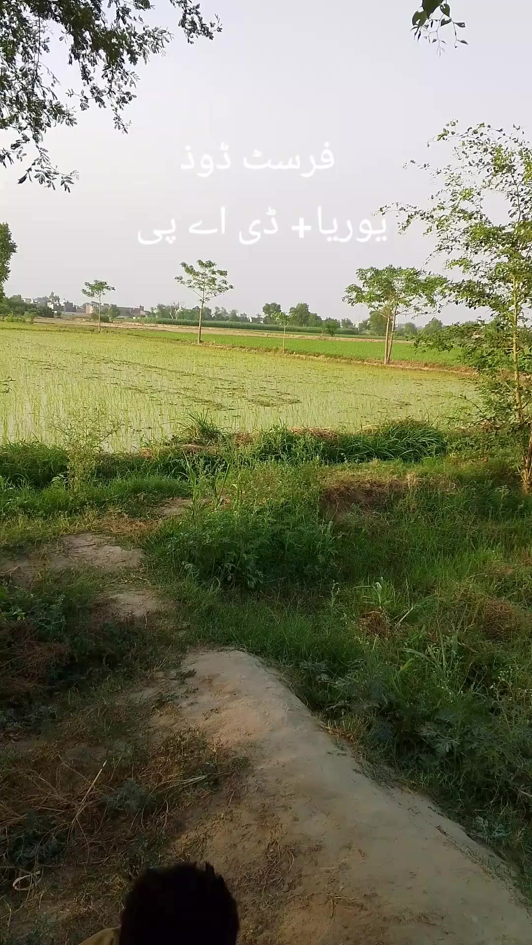 @CH ABDUL BASIT