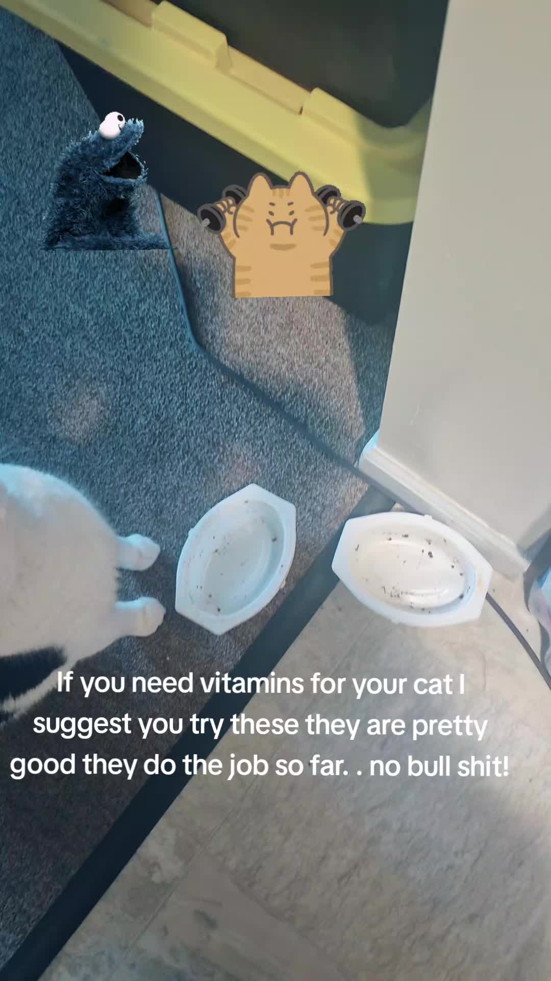 @CrystalTymes