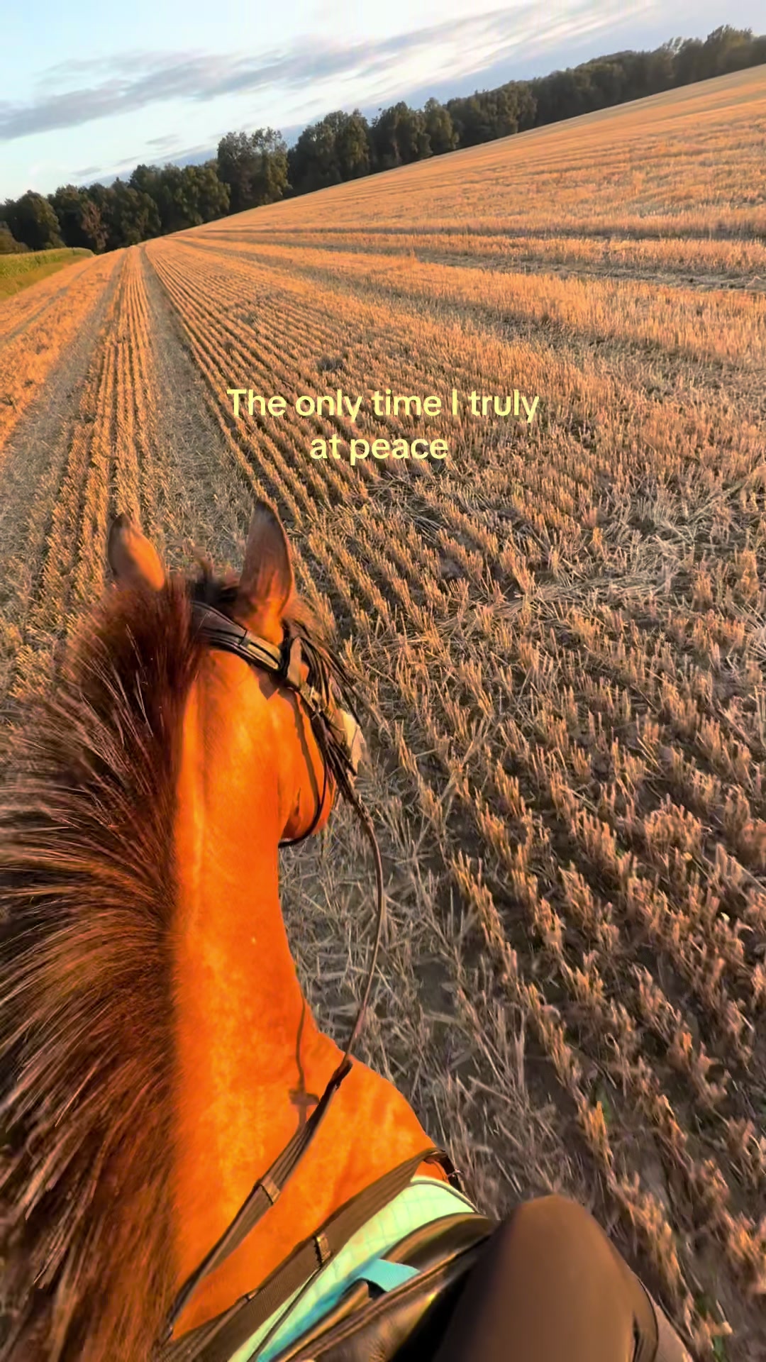 @𝖬𝖺𝗒𝖺 ❦