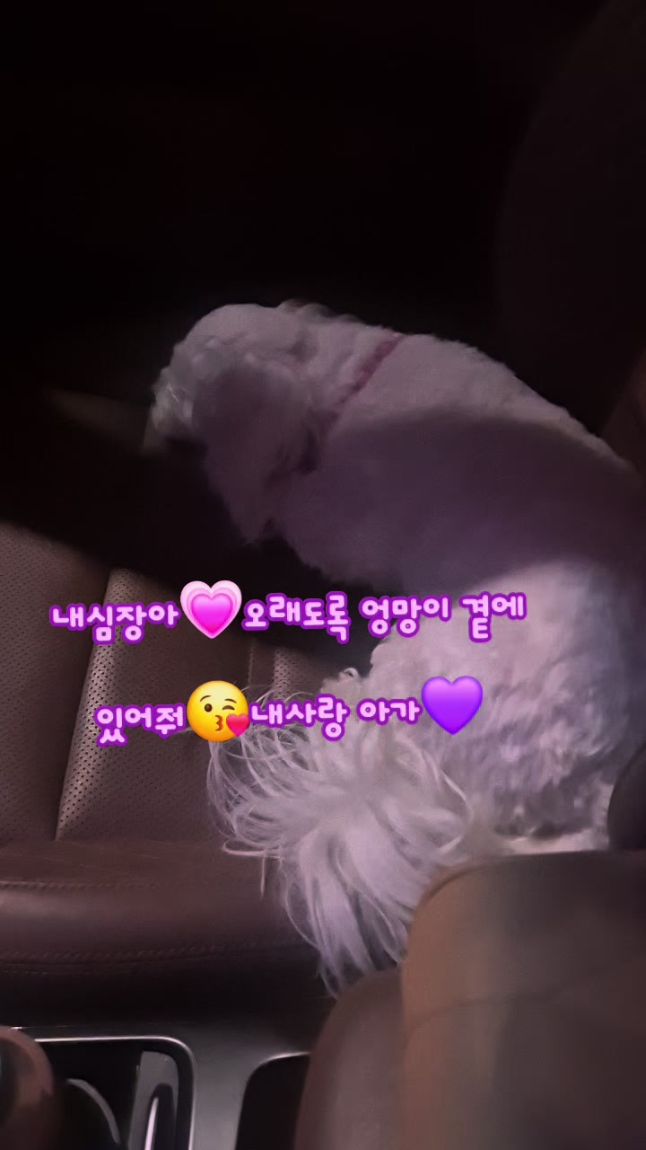 @💜🎀secret🎀💜