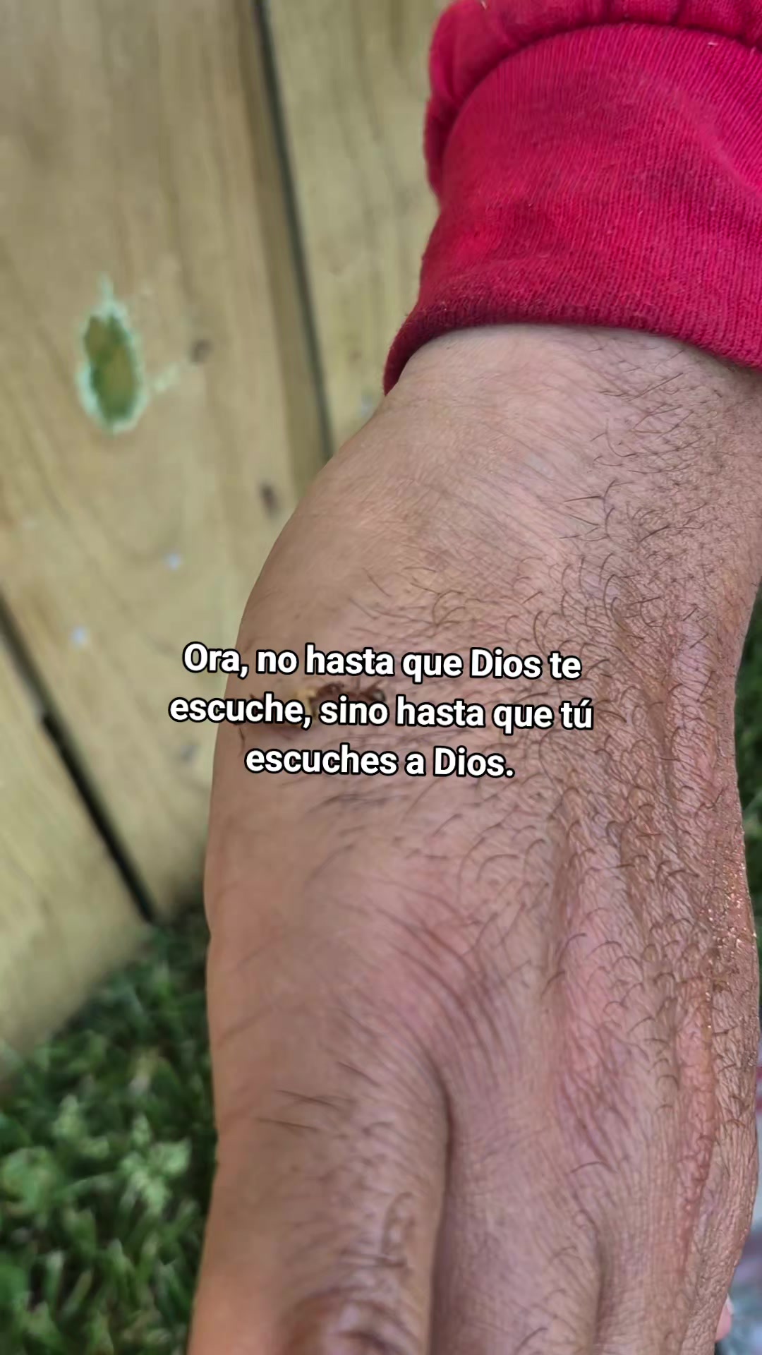 @Esteban Hernández Díaz